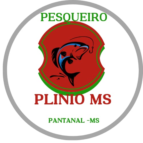 Imagem PNG, Ícone 04